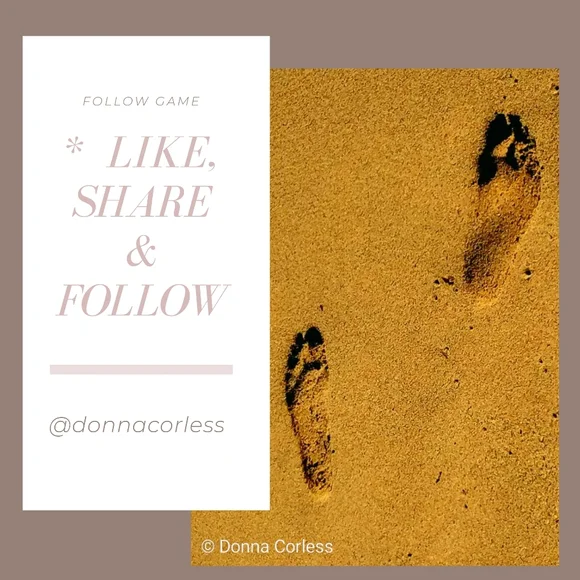 NEW Follow Game Number 2 - Picture 1 of 5